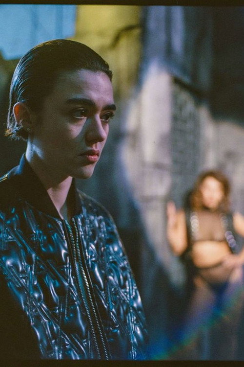 Fou de Bassan постер