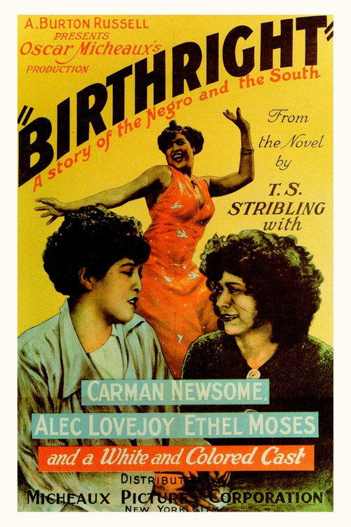 Birthright постер