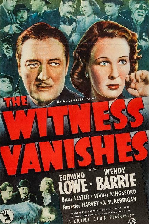 The Witness Vanishes постер