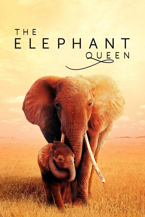 The Elephant Queen постер