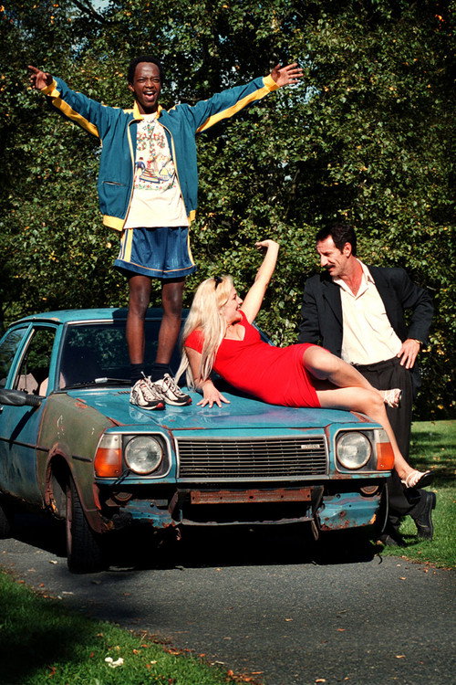 Det nya landet постер