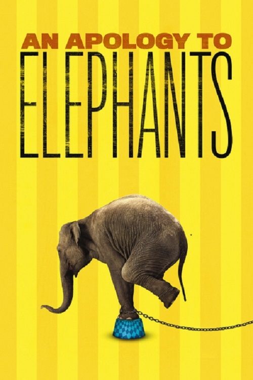 An Apology to Elephants постер