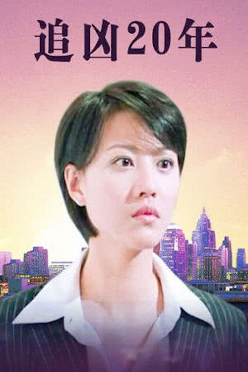 追凶20年 постер