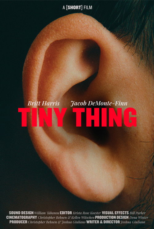 Tiny Thing постер