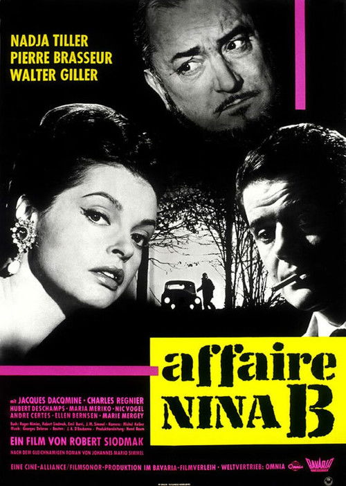 L'Affaire Nina B. постер
