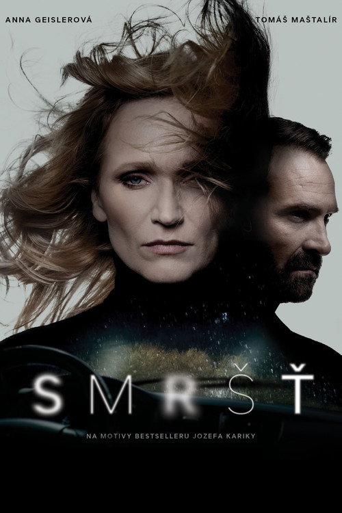 Вихрь постер