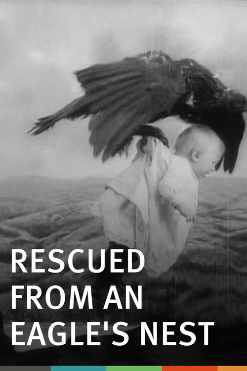 Rescued from an Eagle's Nest постер