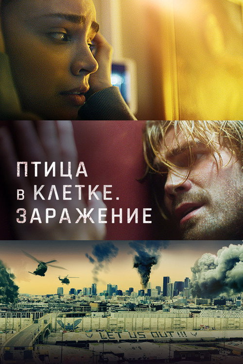 Птица в клетке. Заражение постер