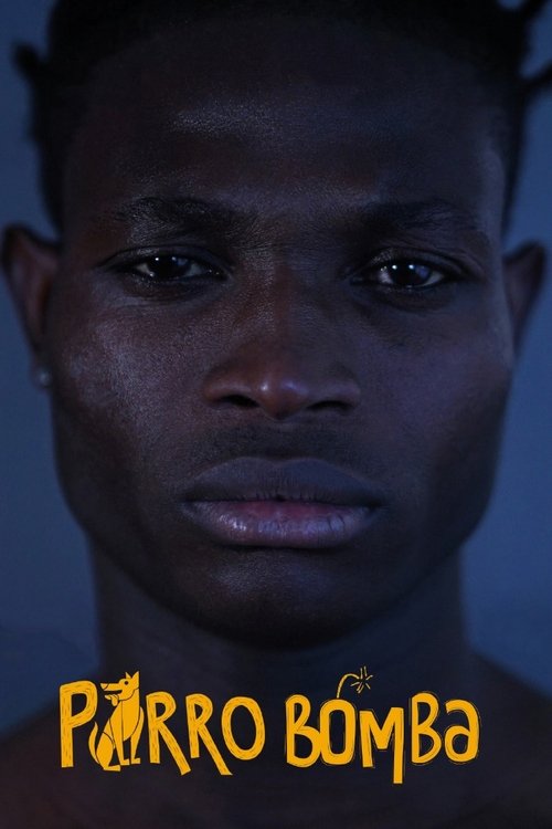 Perro bomba постер