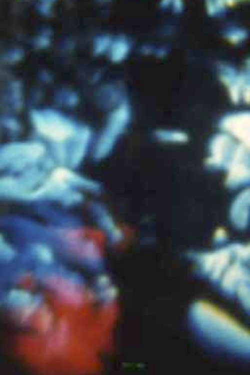 Song 16 постер