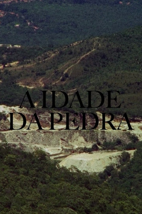 A Idade da Pedra постер