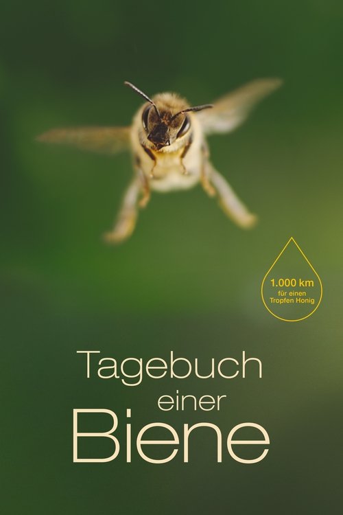 Tagebuch einer Biene постер