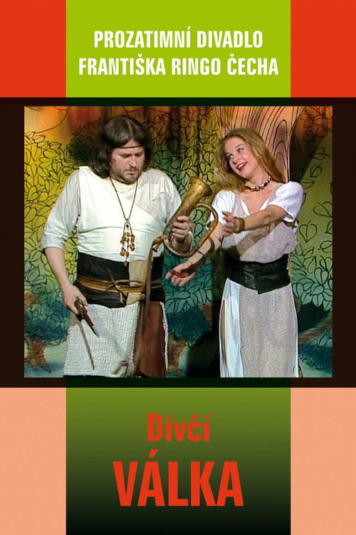 Dívčí válka постер