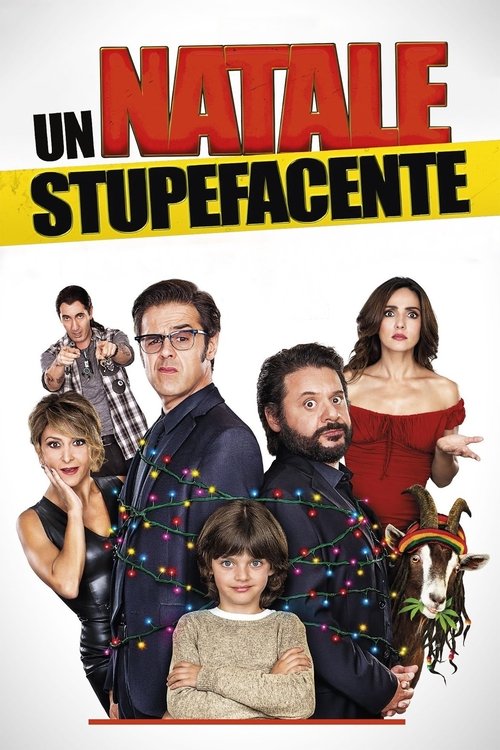 Un Natale stupefacente постер