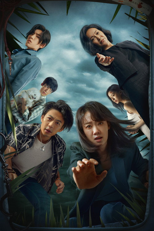 Last Suspect постер