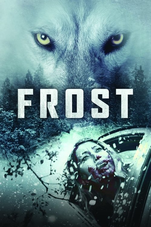 Frost постер