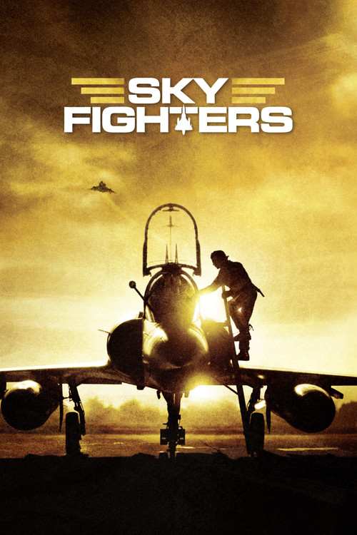 Sky Fighters постер
