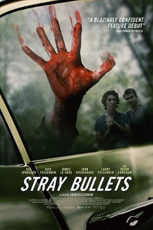 Stray Bullets постер