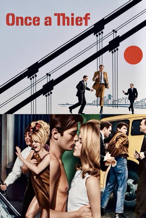 Жил-был вор постер