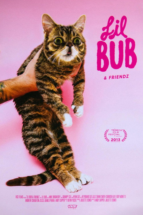 Lil Bub & Friendz постер