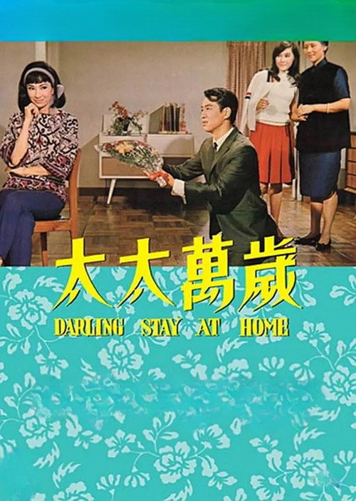 太太萬歲 постер