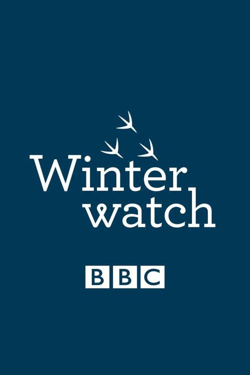 Winterwatch постер