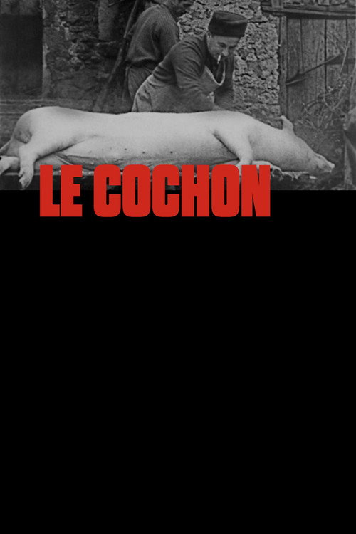 Le Cochon постер