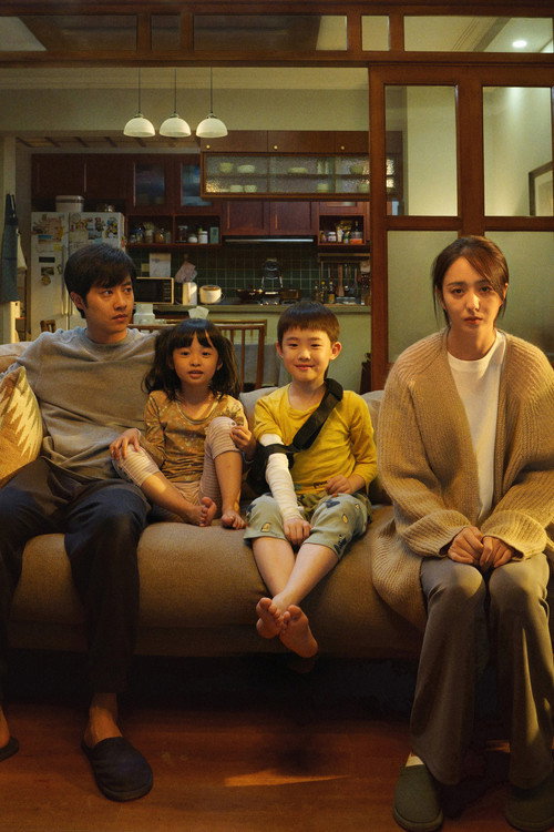 我经过风暴 постер