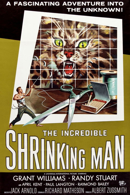 The Incredible Shrinking Man постер
