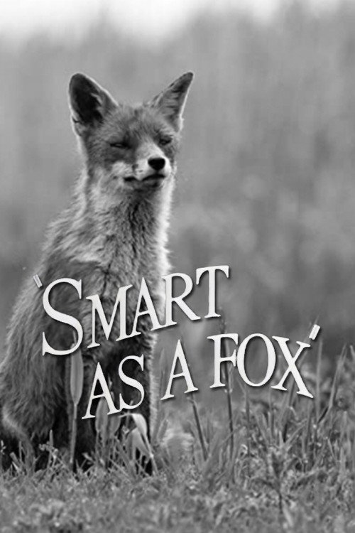 Smart as a Fox постер