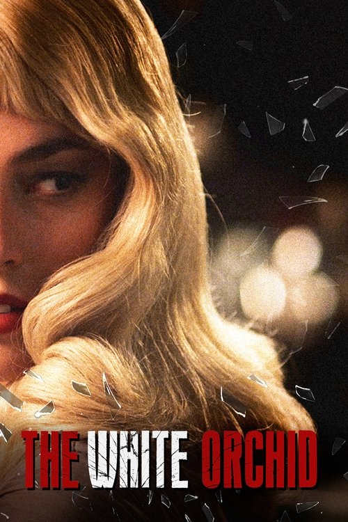 Белая орхидея постер