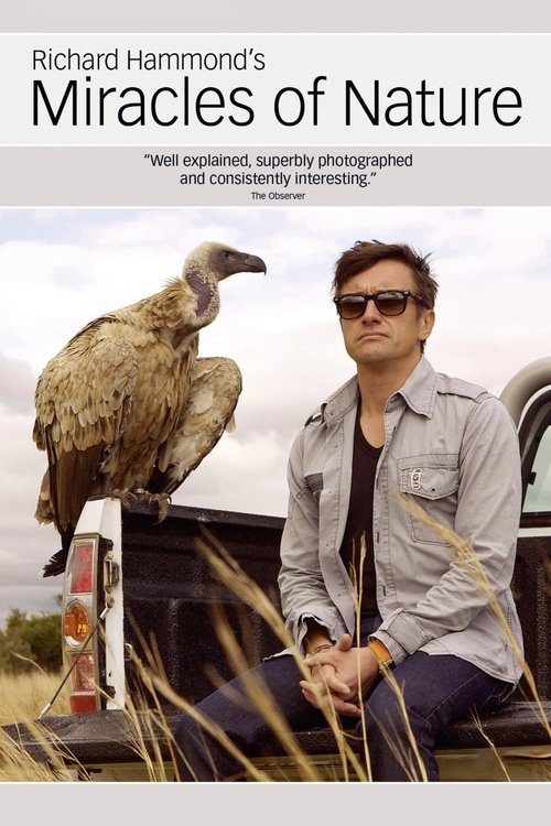 Richard Hammond's Miracles of Nature постер