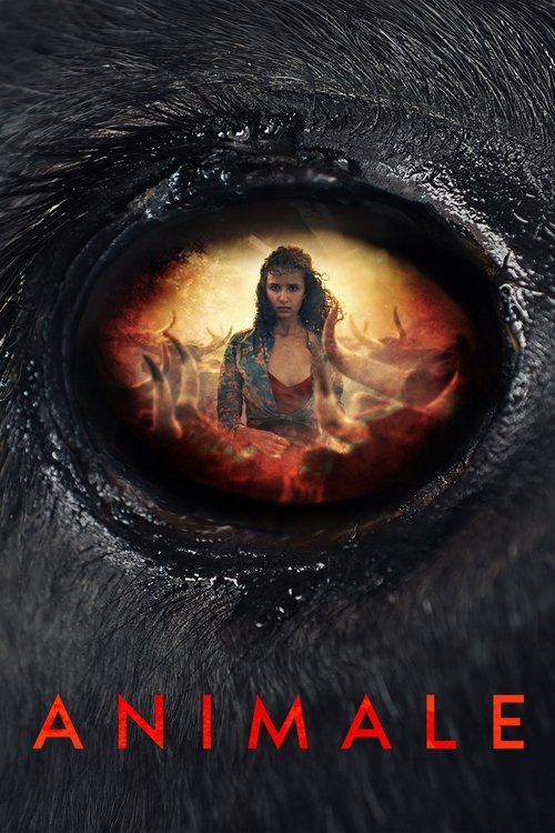 Animale постер