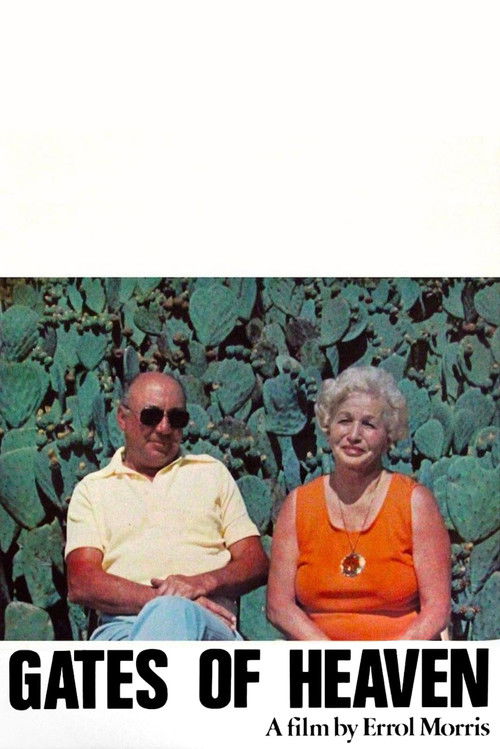 Gates of Heaven постер