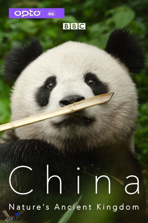 China Nature's Ancient Kingdom постер