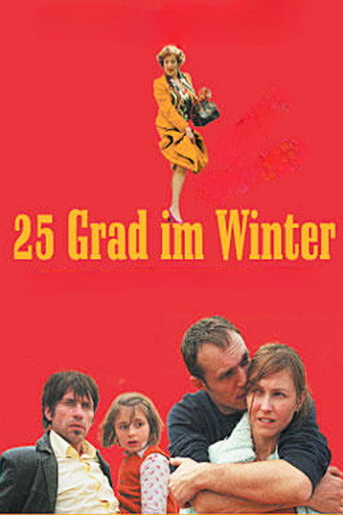 25 Degrees in Winter постер