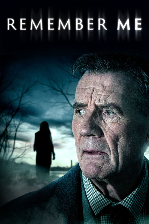 Помни меня постер