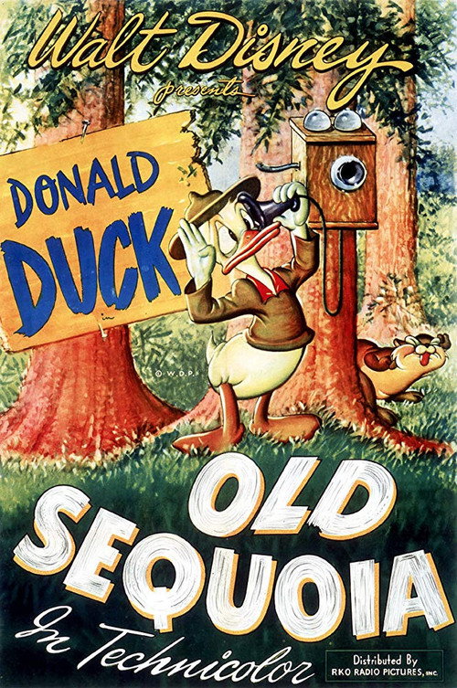 Old Sequoia постер