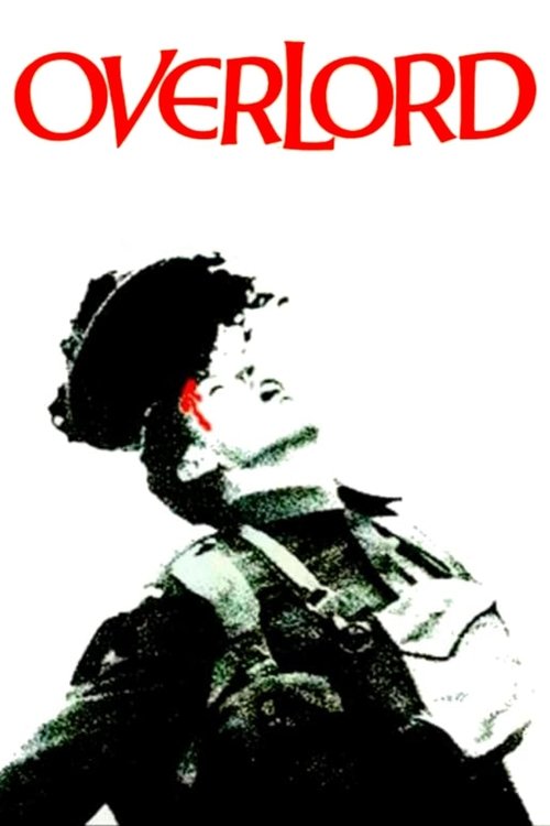 Overlord постер