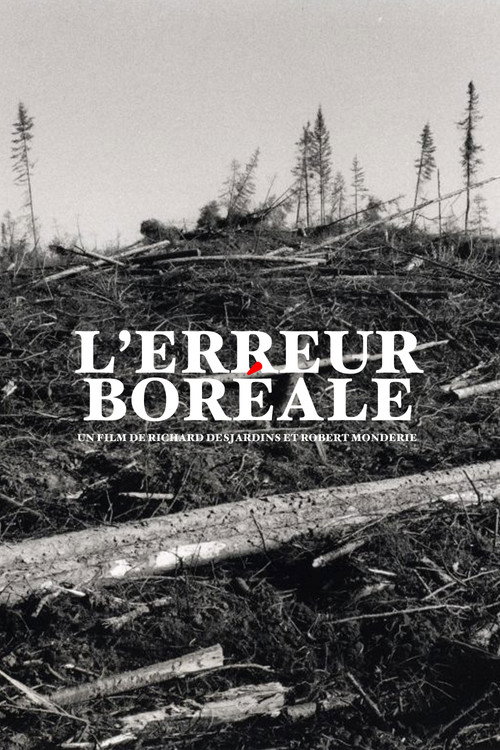 L'erreur boréale постер