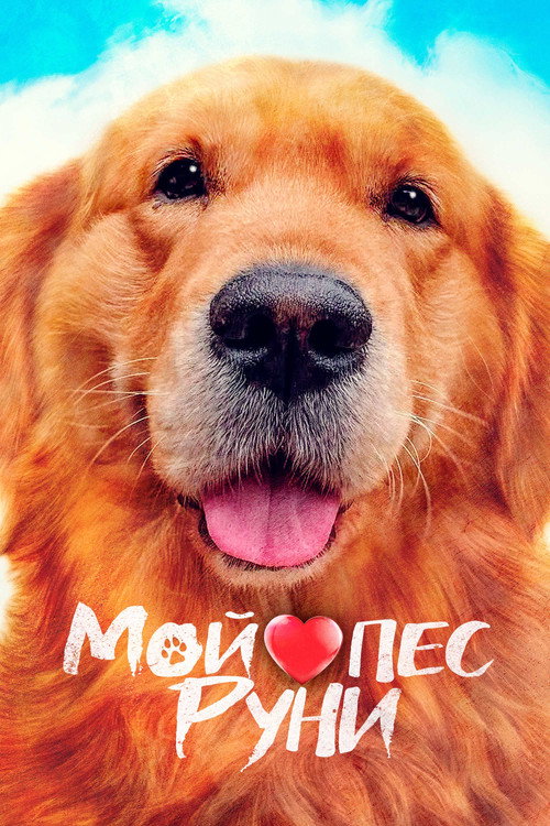 Мой пёс Руни постер