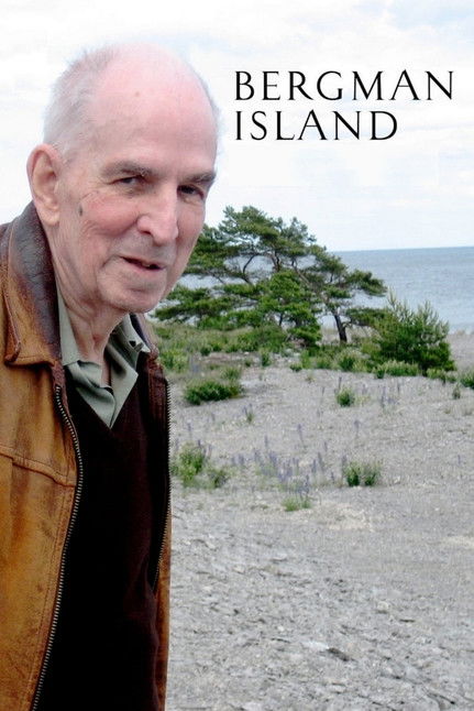 Bergman Island постер