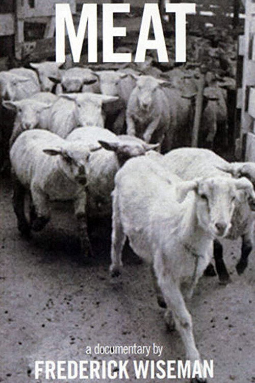 Meat постер