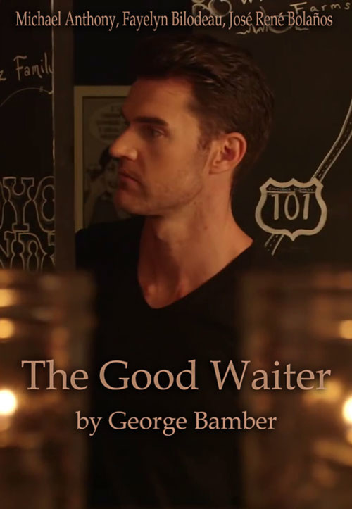 The Good Waiter постер
