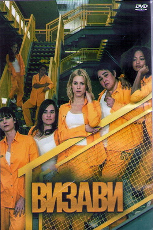 Визави постер