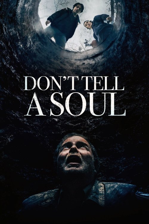 Don't Tell a Soul постер