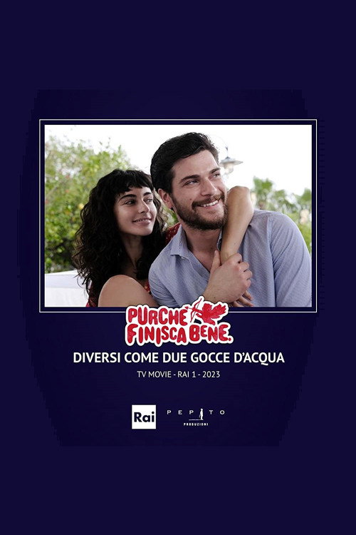 Diversi come due gocce d'acqua постер