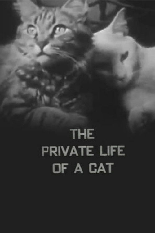 The Private Life of a Cat постер