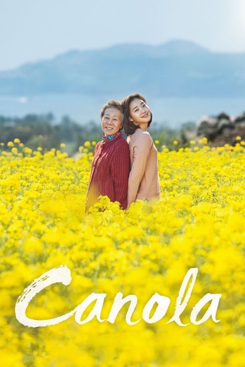 Canola постер
