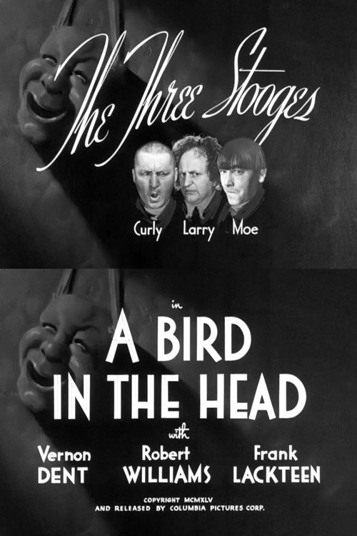 A Bird in the Head постер